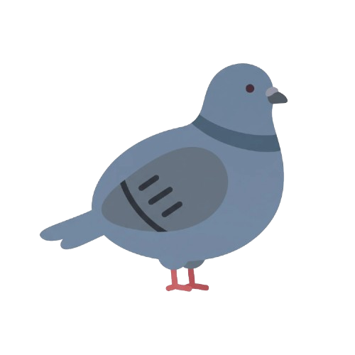 Pigeons