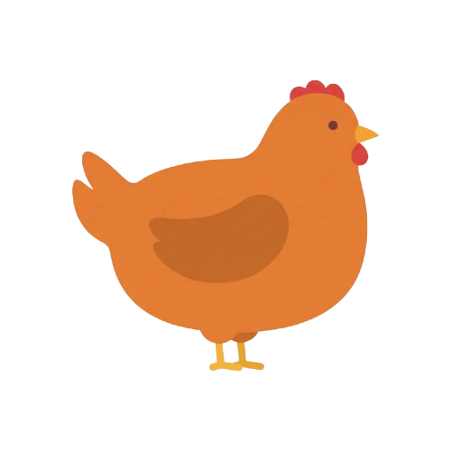 Chicken / Fowl / Ducks