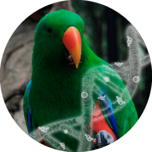 Sexing + All 6 tests