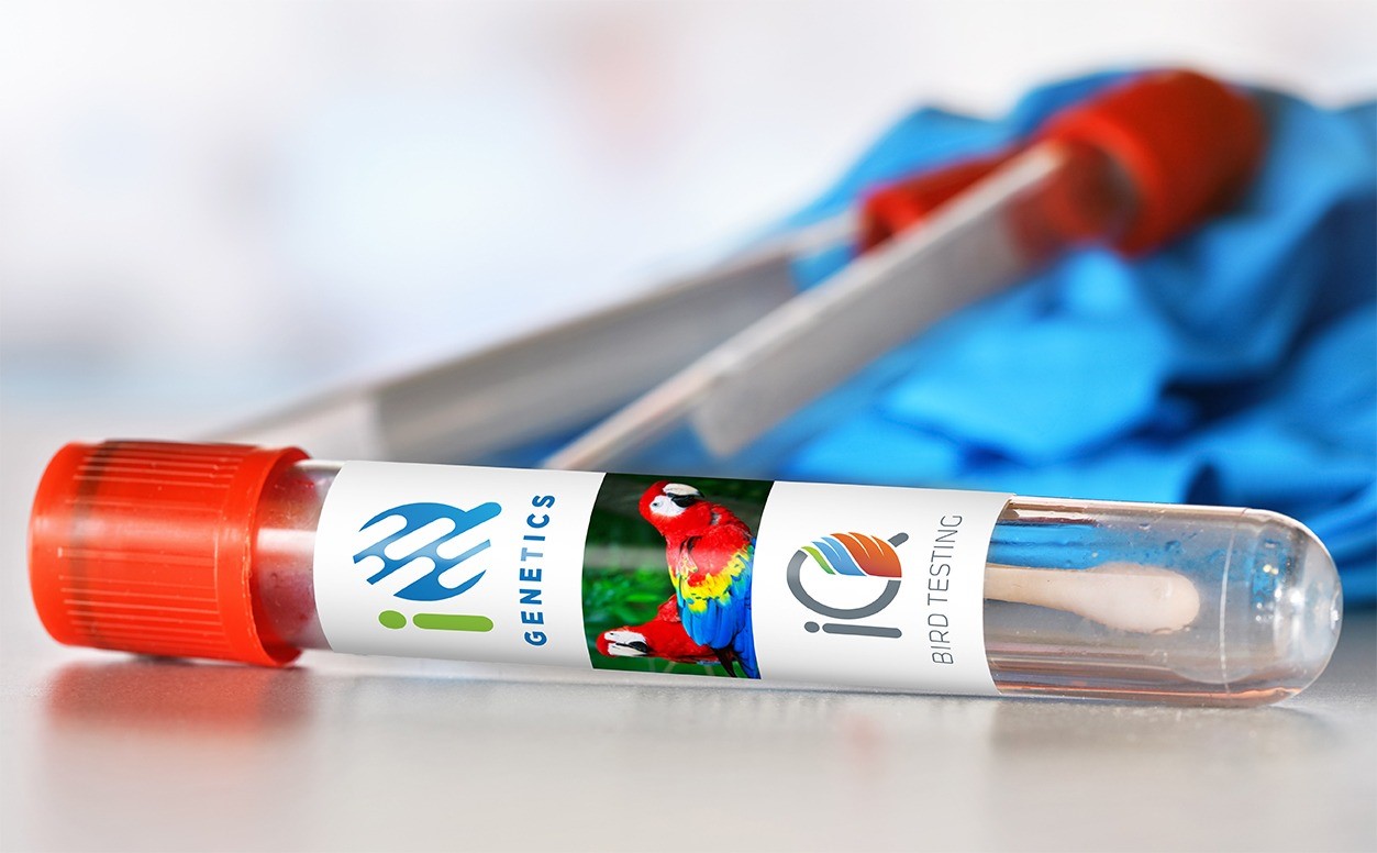 DNA Pack 14